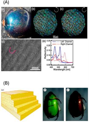 Modern developments in lasing with liquid crystals